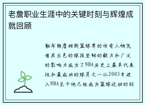 老詹职业生涯中的关键时刻与辉煌成就回顾