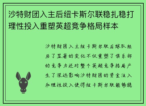 沙特财团入主后纽卡斯尔联稳扎稳打理性投入重塑英超竞争格局样本